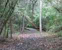 Lake Edun 023_resiz.jpg